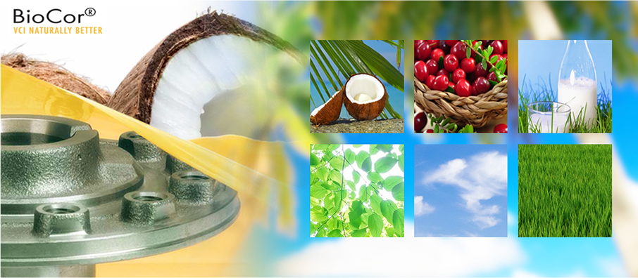 防錆フィルム BioCor (バイオコア)